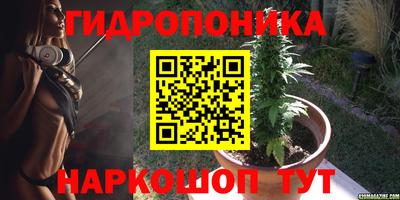 ECSTASY Бузулук