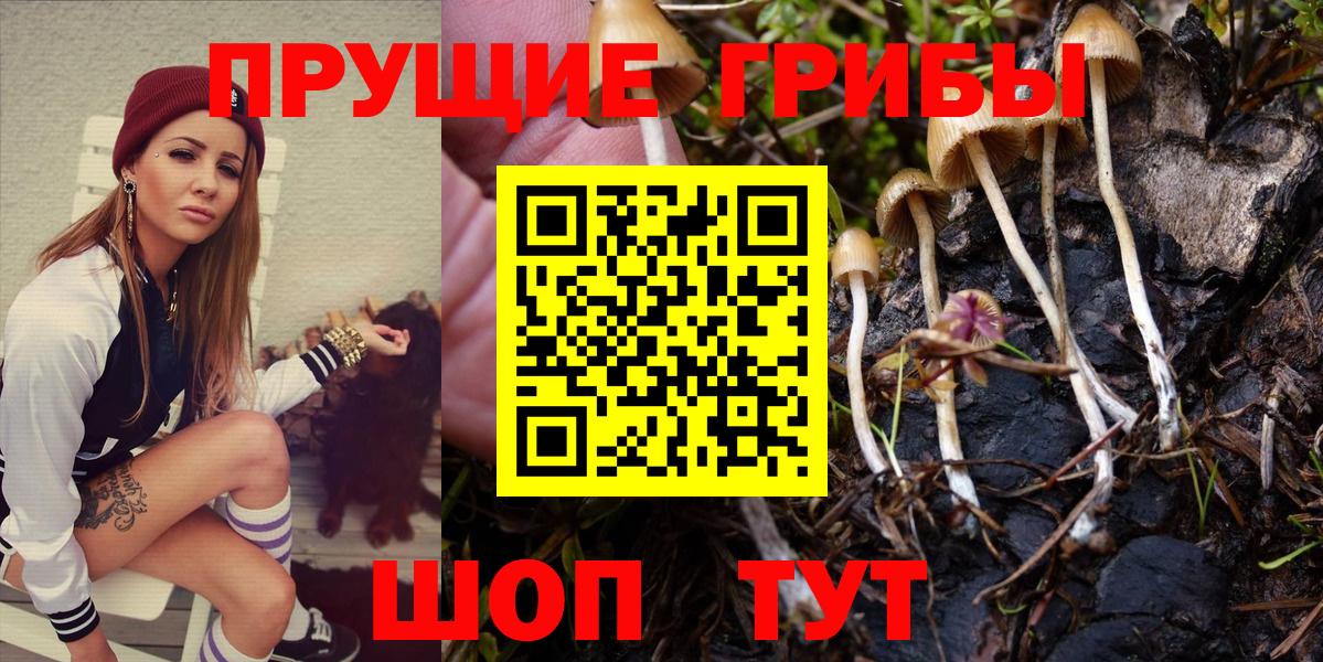 Галлюциногенные грибы Magic Shrooms  Псилоцибиновые грибы Psilocybe  купить наркотик  Рассказово  Вход с VPN 