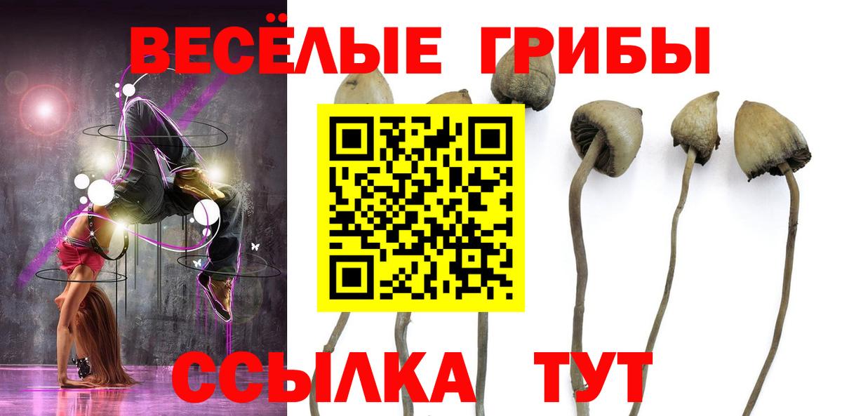 Галлюциногенные грибы Psilocybine cubensis Рассказово